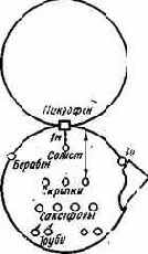 Справочная книга кинолюбителя